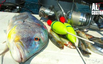 FISHING ATTITUDE dentice1