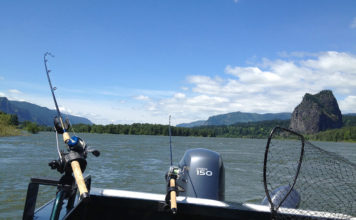 Καθετή για Σκαθάρια katheti gia skatharia