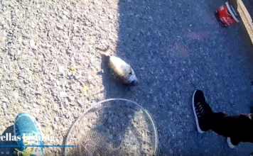Screenshot 1 2